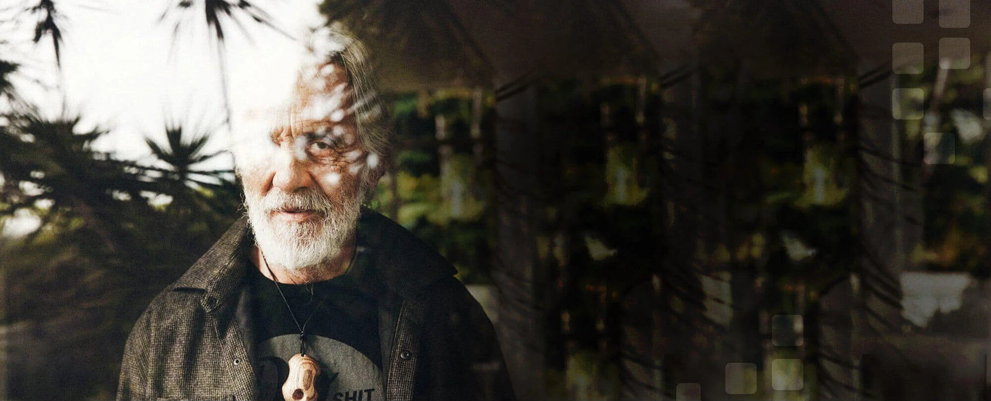 Collection Tommy Chong's