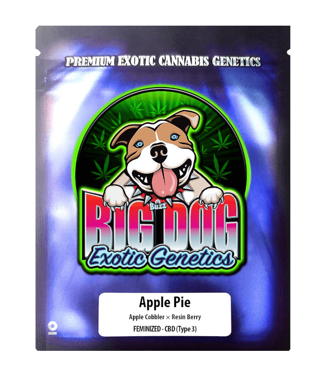 Apple Pie CBD Féminisée
