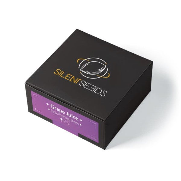 Grape Juice Feminized