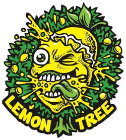 Lemon Tree 2.0 By Lemon Tree Feminized