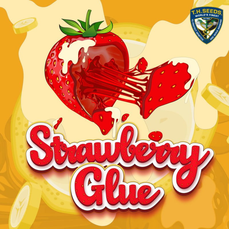 Strawberry Glue Féminisée