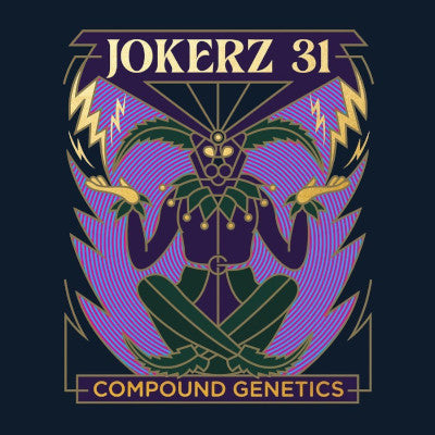 Jokerz #31 Vol. 1