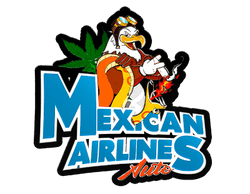 Mexican Airlines Auto