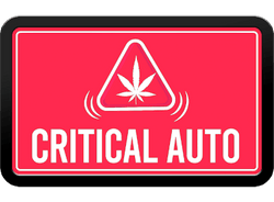 Critical Auto