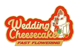 Wedding Cheesecake FF Fast Version