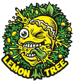 Lemon Tree 2.0 By Lemon Tree Féminisée