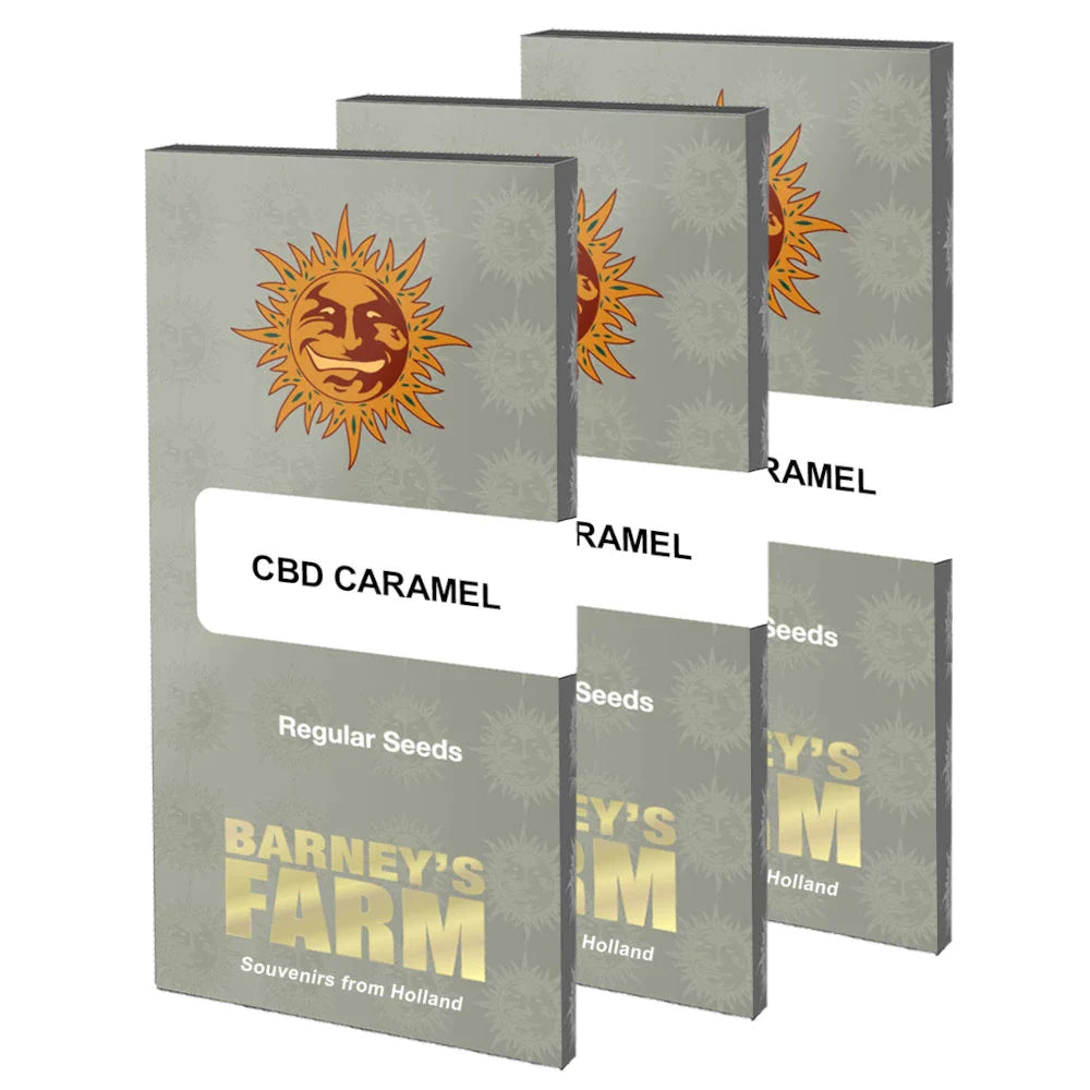 Graines de CBD Caramel Régulière by Barney's Farm