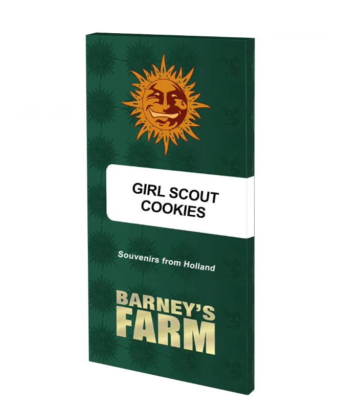 Graines de Girl Scout Cookies Féminisée by Barney's Farm