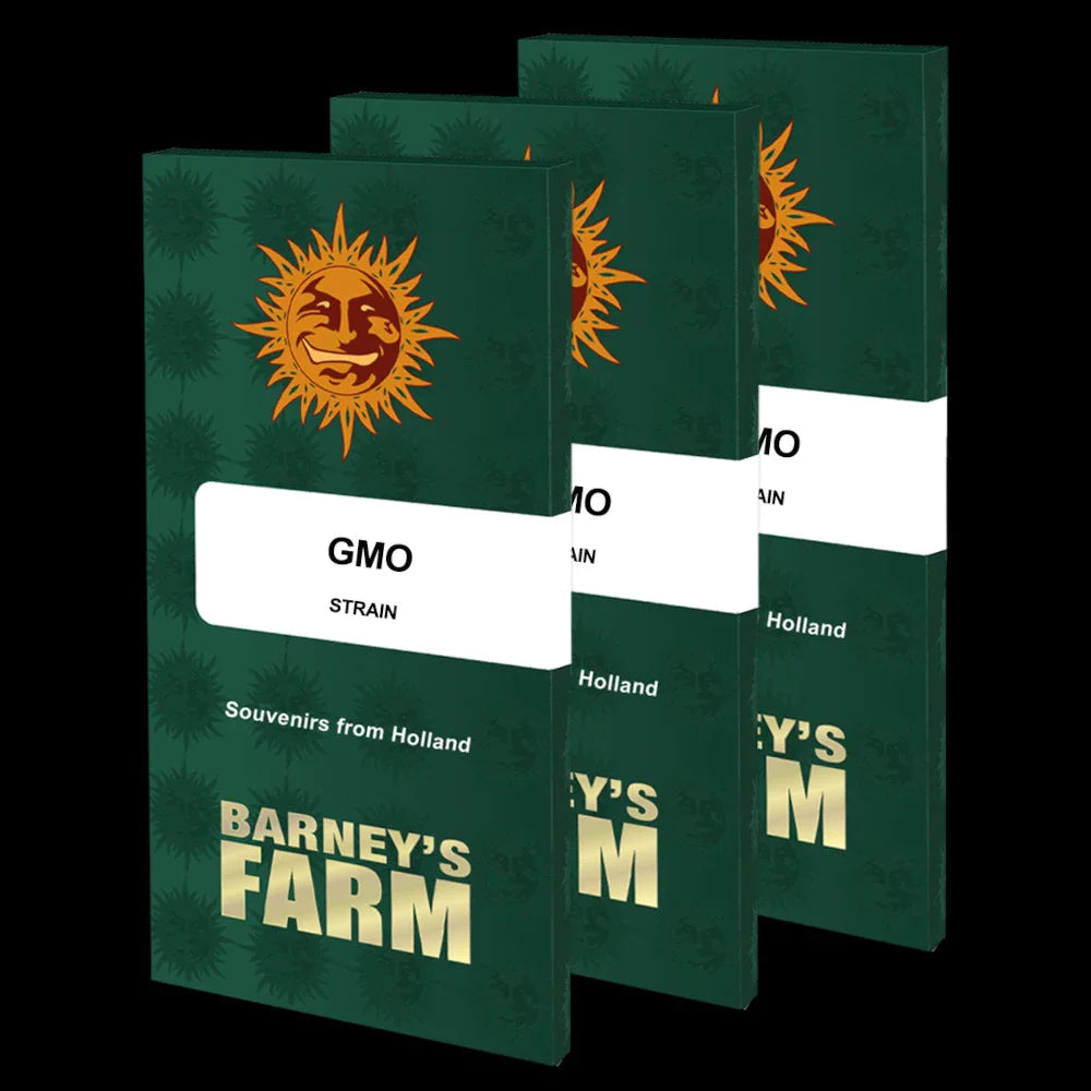 Graines de GMO Féminisée by Barney's Farm