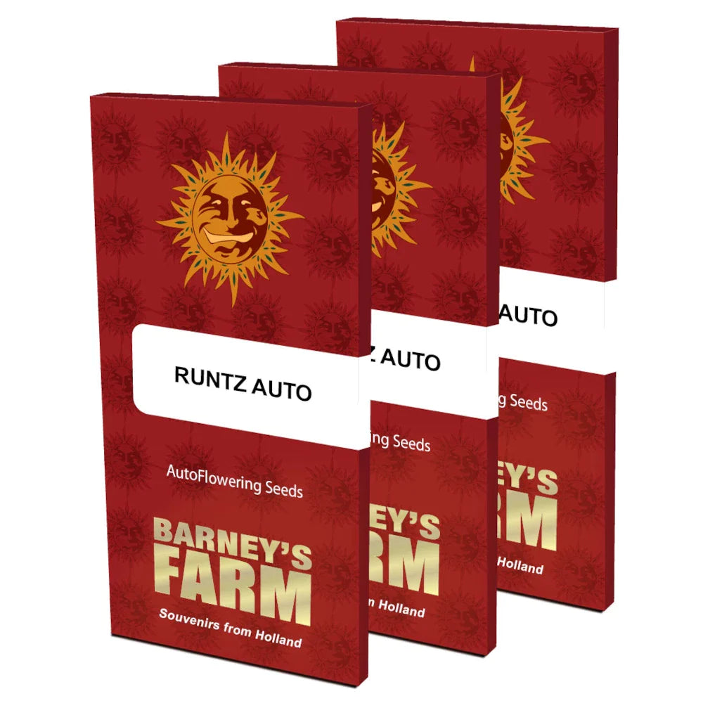 Graines de Runtz Auto by Barney's Farm