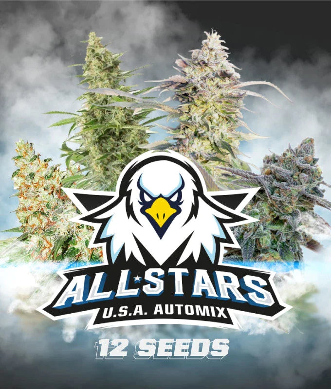 All Stars USA Automix by BSF Seeds