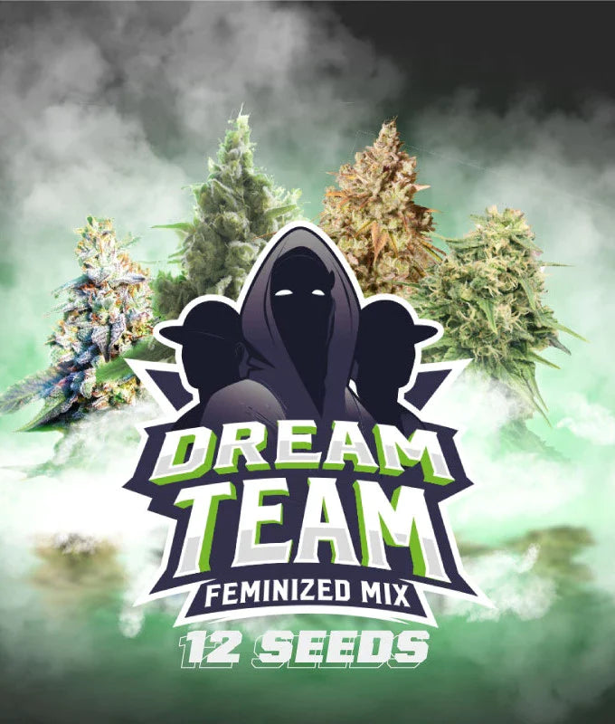 Dream Team Feminized Mix by BSF Seeds