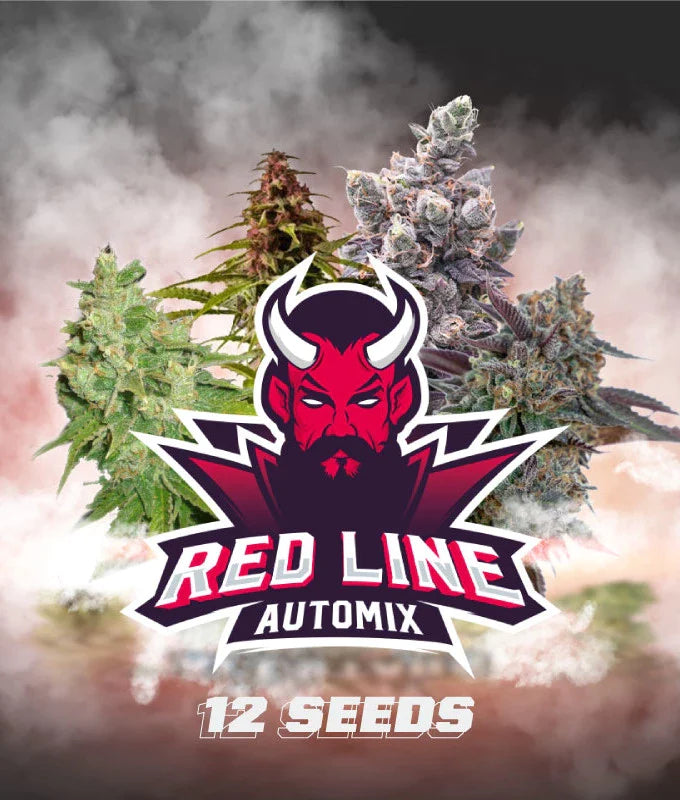 Red Line Automix by BSF Seeds